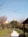 F8VNZ Image